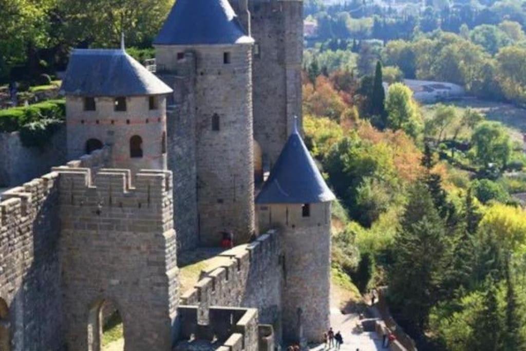 Dame Carcas Lejlighed Carcassonne Eksteriør billede